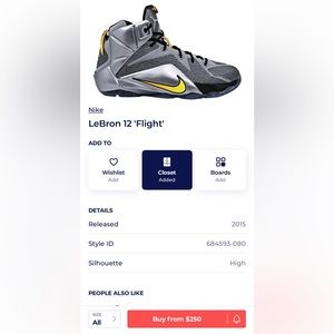 LeBron 12 Flight size 10